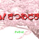 여우PC 이미지