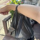 박영춘 돼지국밥 이미지