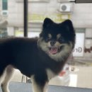 그루밍공화국 이미지