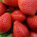 협성농장 이미지