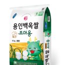 입다 이미지