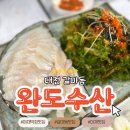 완도수산야채막회 | 대전 갈마동 완도수산 야채막회 단골들만 모이는 찐 대광어맛집 내돈내산