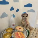 카페두루