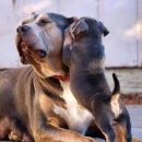 중앙동11 이미지