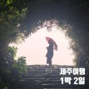 (주)제주여행문화 | 새벽출발 밤도착 1박2일 꽉 찬 제주여행 총정리(일정표 공유)