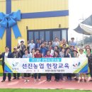 파주로(2) 이미지