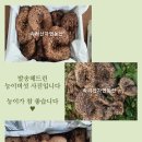 속리산 자연농산 9월 26일 조합입찰 송이, 능이버섯 판매합니다 이미지