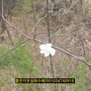 계남공원(신정산) 유아숲체험원 이미지