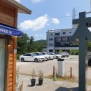 수목원피씨 네이버블로그