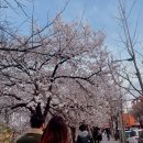 명륜진사갈비대전중촌점 이미지