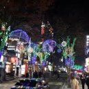 로데오거리상점가 이미지