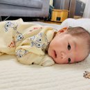 오주분식