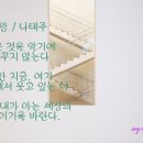 평화의 메세지 이미지