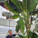 와리농장 이미지