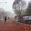 진리관광안내소 | [전라도 사찰 여행] 구례 오산(鰲山) 절벽 위에 세운 암자, ‘사성암(四聖庵)’의 안개 낀 풍경