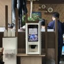 가지산언양불고기 | 언양 언양불고기 맛집 추천 가지산 언양불고기 방문 후기 작천정 벚꽃 맛집