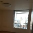 모모하우스 이미지