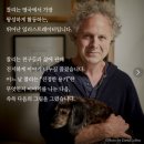 소년과 두더지와 여우와 말 추천도서 그림책 에세이 책리뷰 독서후기 감상