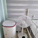 제주각시이우다 이미지