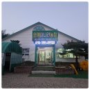 안계농장 | 포항 안계 미나리 농장 3월 제철 음식 미나리로 건강 챙기기