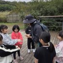 미리내캠프 이미지