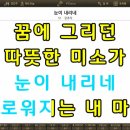 MR - 눈이 내리네 /김추자 이미지