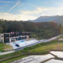 더 파인트리 이미지