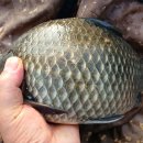 즐거운낚시 이미지