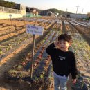 세윤농장 이미지