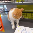 씨유 공주청룡점 이미지