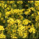 정호 농장 이미지