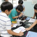 상암초등학교 이미지