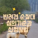 반려견 이미지