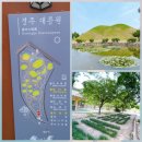 신평동1066 | 경주여행 추천코스[볼거리, 먹거리/맛집, 기념품, 액티비티, 주차] >> 대릉원, 첨성대, 주상절리...