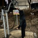 천안 네네치킨 신부점, 포장후기(스노윙 치즈, 양념치킨)
