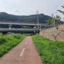 양지천2 이미지