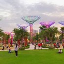 GLORY(글로리) 이미지