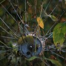 보가산성지 이미지