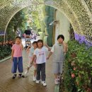 동아대 합기스쿨 총본관 이미지