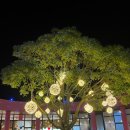LUNA AURA(루나아우라) | [제주 아가랑] 제주에 달이 떨어졌다!! 제주 야경 명소 _ 루나폴