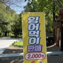 남원역 관광안내소 | 올가을에 가볼만한 여행지 추천, 남원광한루원(남원투어패스권)