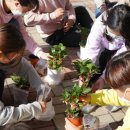 호계초교 이미지