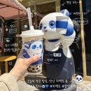 호수로 | 잠실 석촌호수 데이트 때 마시기 좋은 음료 차백도 흑당 버블 밀크 후기