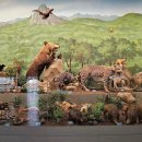 땅끝해양자연사박물관 이미지