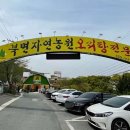 북면오리탕 김해점 이미지