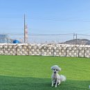 헤이커멍 이미지