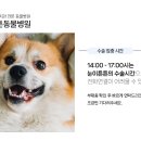 눈이튼튼 동물병원 이미지
