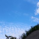 터미널식당(언양) 이미지