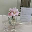 테라176 | 대구 웨딩밴드 웨딩링 퓨어러브, 아키프, 루미젬, 디테라, 수누주얼리, 반조애, 교동 예물샵 현실견적