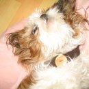 등촌2동 이미지